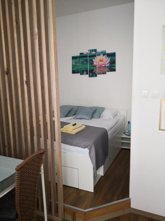 Slomskova Apartman Ljubljana Kültér fotó